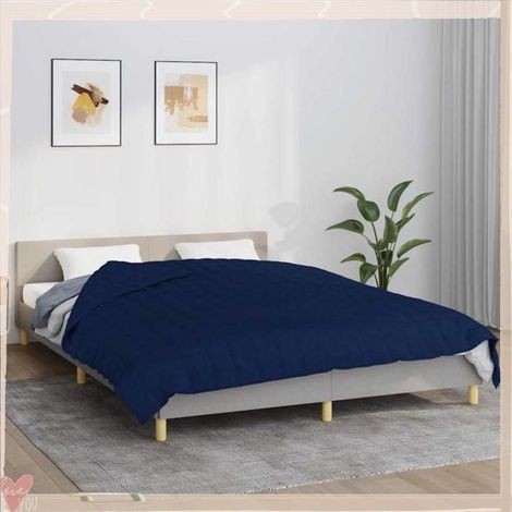 350743 Couverture lestée Bleu 200x200 cm 13 kg Tissu (1/5)