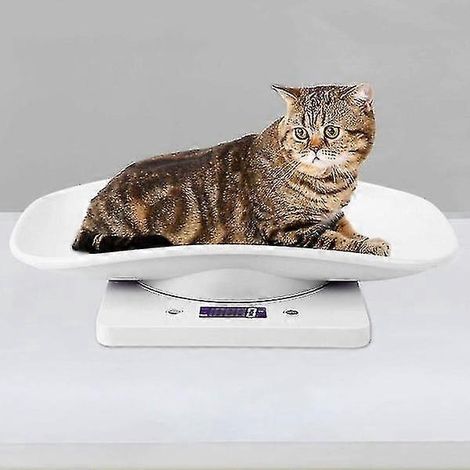 Balance numérique pour petits animaux de compagnie 2024, 10 kg/1 g, pour une mesure précise (1/5)