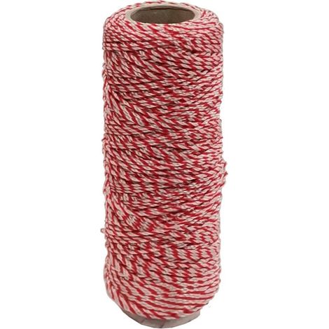 LENZA P/MURATORE IN PP BIANCO ROSSO 100 M