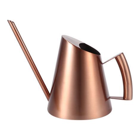 Arrosoir en acier inoxydable 2,5 L – Design élégant bronze, idéal pour plantes d’intérieur et jardin, bec fin pour un arrosage précis (1/5)