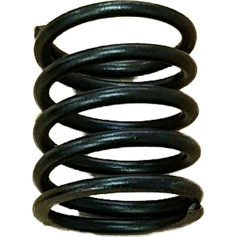 Muelle Valvulas compatible con Pr1500  Ref 976103