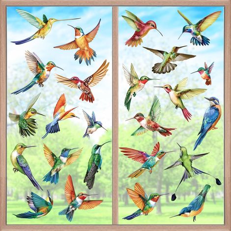 Autocollants Fenêtre Colibri Anti-Collision Stickers Oiseaux (1/5)