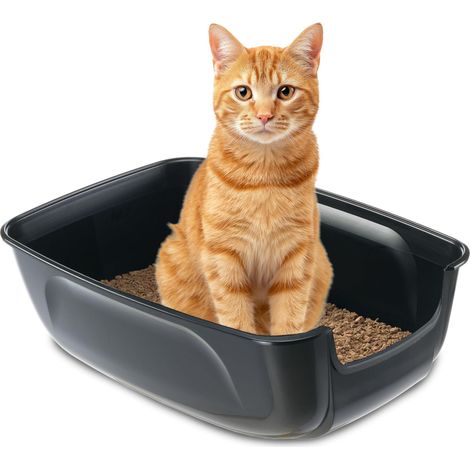 Bac à Litière pour Grand Chat, Maison de Toilette, Nettoyage Facile, en Plastique, L 67 x W 49 x H 24 cm, Noir (1/5)