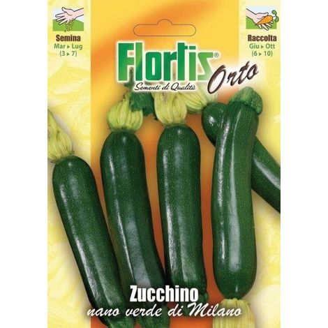 ZUCCHINO NANO VERDE MILANO
