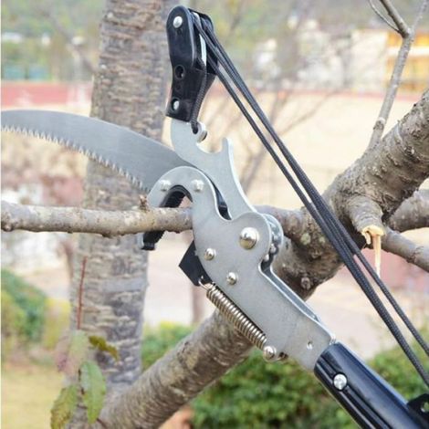 Cisailles télescopiques pour branches hautes, outil d'élagage jardin sans perche, coupe précise en hauteur (1/5)