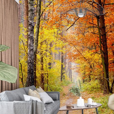 Papier peint panoramique - Forêt Automne - 130 cm x 185 cm (1/4)