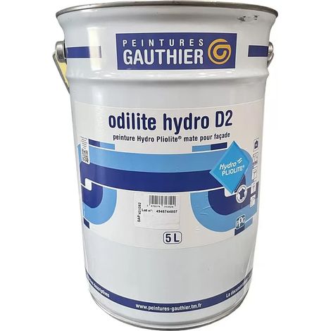 Peinture façade Peintures GAUTHIER Odilite Hydro D2 Blanc 5 L