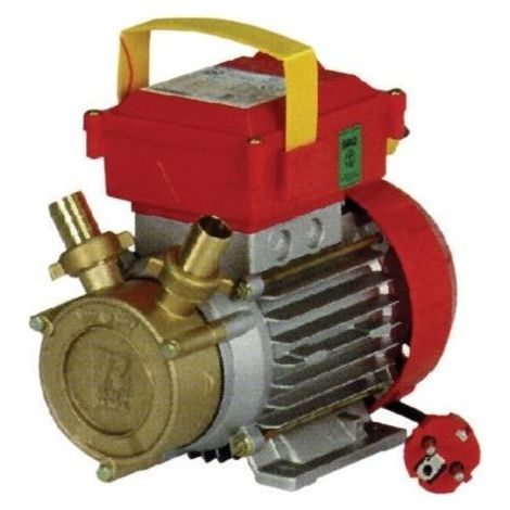 ELETTROPOMPA TRAVASO ROVER 25MM 0,8HP AUTOADESCANTE (1/2)
