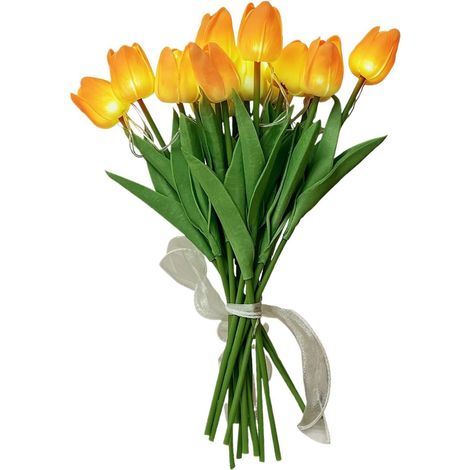 Luminaire Veilleuse LED Romantique (1/5)