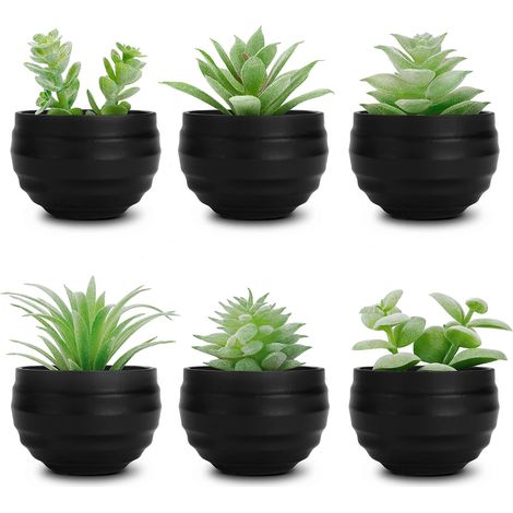 Lot de 6 petites plantes succulentes artificielles en pots pour décoration d'Halloween, chambre, salon, bureau, étagère, salle de bain, noir (1/5)
