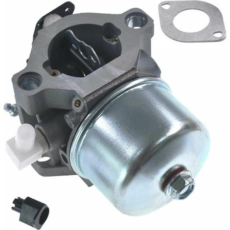 Carburateur 12,5 HP pour LMT 5-4993 498888 Pièces de moteurs (1/4)