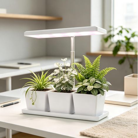 LED-Pflanzenlampe 10 W Vollspektrum mit 3 Anzuchttöpfen Weiß OKWISH (1/5)