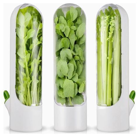 3 PièCes éConomiseur D'Herbes pour RéFrigéRateur, Conservation D'Herbes FraîChes pour RéFrigéRateur, Stockage D'Herbes pour Coriandre, , Asperges (1/5)
