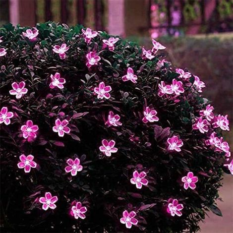 HFJKFW-Guirlandes Solaires de Jardin Extérieur 7m 50LED Flower Solar String Lights Blossom Éclairage Solaire étanche (Rose)[627] (1/4)
