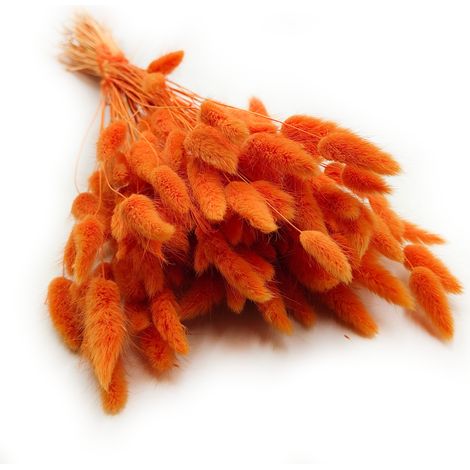 Getrocknete Lagurus - Mandarinen