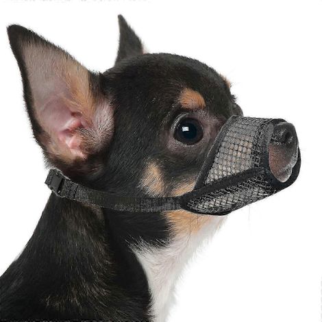 Hundemaulkorb aus weichem Netzgewebe, verstellbar und atmungsaktiv, geeignet für kleine und mittelgroße Hunderassen, optimaler Komfort für den täglichen Gebrauch. (1/5)