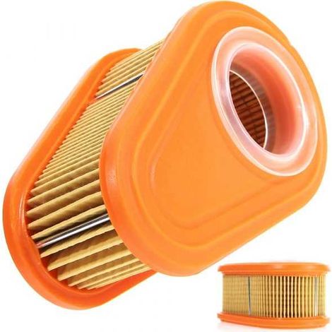 Filtre à air pour Briggs & Stratton 792038 (1/4)