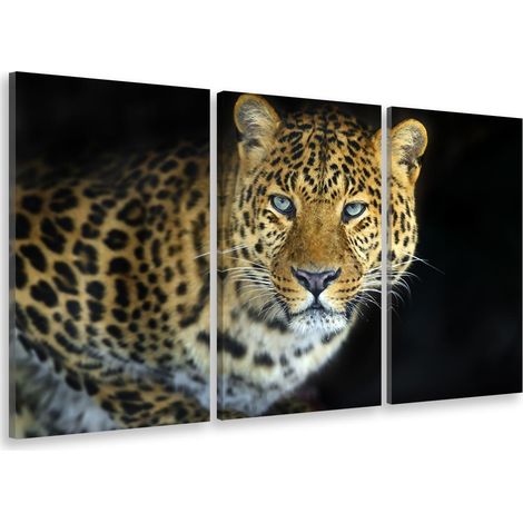 Tableau triptyque Tableau photo léopard de zanzibar - 90x60 cm (1/5)