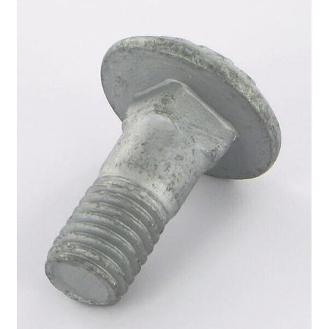Vite a testa piatta M12x30 10,9 LEMKEN 3011806 (1/2)