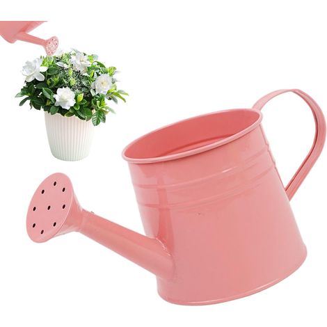 Arrosoir d'intérieur 1 L Pot de fleurs Vase
