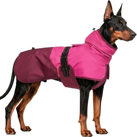 Manteau de pluie pour chien avec capuche pour grandes races - Mac de pluie pour labrador, berger allemand, taille 3XL (1/5)