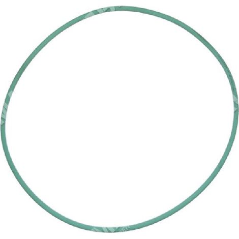 ODER-Ring für KOMPATIBLE BERTOLINI-Pumpen - 035235