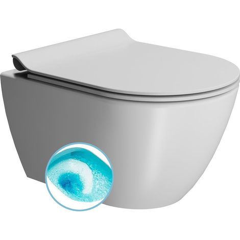 WC suspendu PURA, Swirlflush, 36x50cm, blanc double mat (1/3)