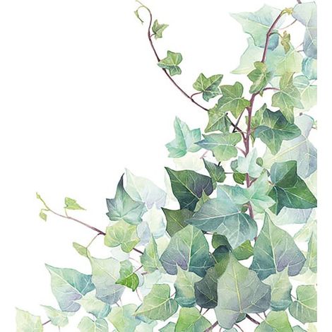Lot 20 Serviettes En Papier 33 X 33 Cm - Feuilles De Lierre - Ambiente