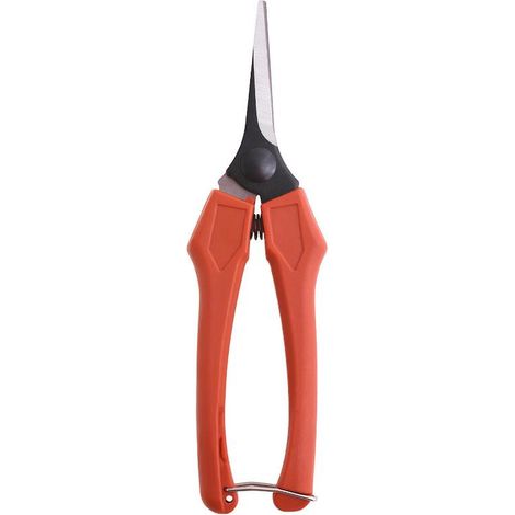WOLFPACK LINEA PROFESIONAL tijeras vendimiar recta  1 mano  p10/18 cm.