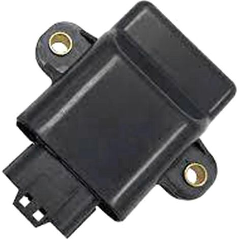 Ensemble d'allumage CDI noir pour moteurs 4 temps 15 et 20 CV (1/5)