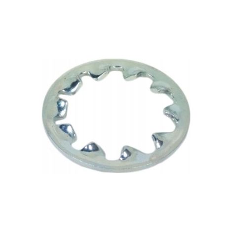 Arandela dentada M10 DIN6797J OC 1000 unidades (1/5)