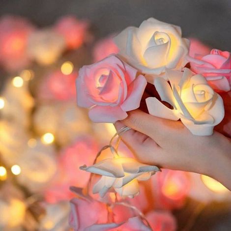 Guirlande lumineuse LED - - Rose - 6M - 40 LED - Blanc chaud - Fonctionne sur piles - Décoration intérieure/jardin (1/4)