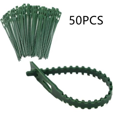 Pflanzenclips - 17 cm lang - Robuste Clips für kleine und große Triebe, Rankgitter, Rosenbögen, Pflanzstäbe, 50 Stück