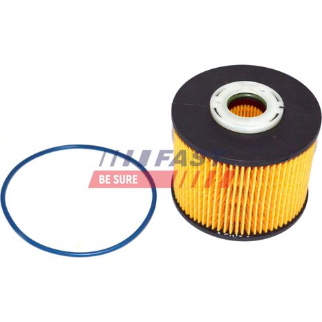 Kraftstofffilter FT39077 schnell