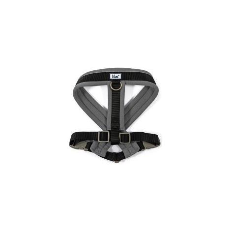 Ancol Padded Harness Black Xlarge - 725858