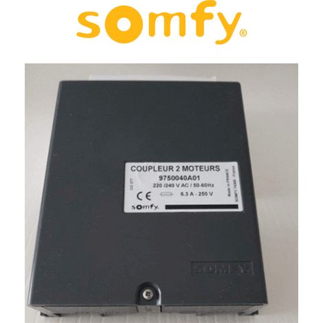 Comando per 2 operatori in tandem Somfy