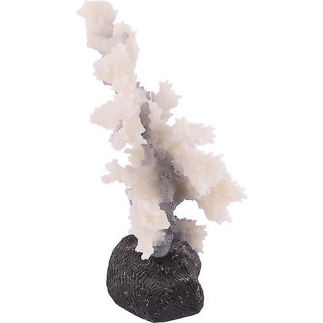 1 corail pour aquarium (1/3)