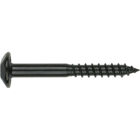 Tornillo Inviolable 07X060Mm Cabeza Redonda Negro Index 100 Pz