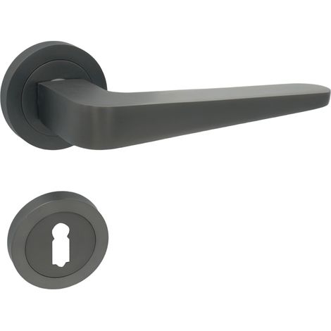 DOMINO Poignée de porte VITA-R M8 Titan BB Poignée avec rosace BB pour clé titane (1/5)