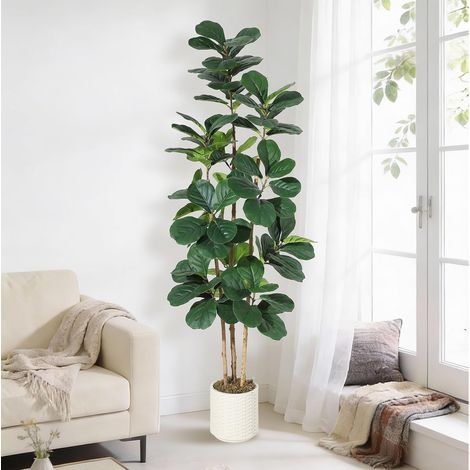 Ficus lyraté artificiel 1m83 avec pot blanc et mousse (1/5)