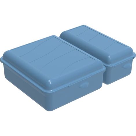 Rotho Brotdose Twin 1,05 l + 0,55 l, 22 x 16 x 7 cm, blau Boxen, Körbchen & Kisten