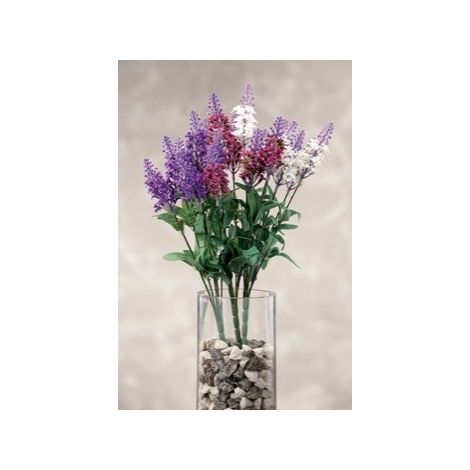 RAMOSC LAVANDA ASS3COL CM38