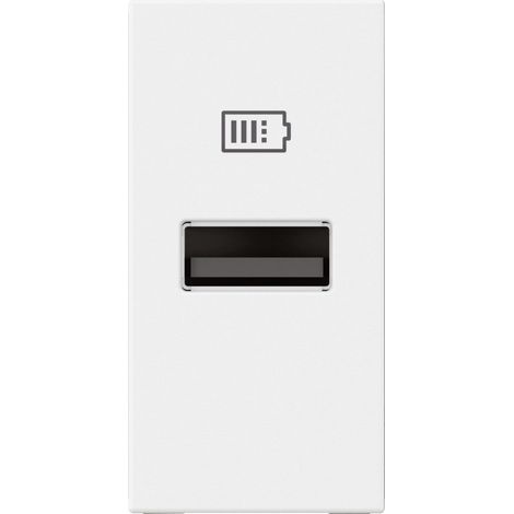 Chargeur USB Type-A Mosaic 1 module blanc pour support LCM LEGRAND 077650L (1/3)