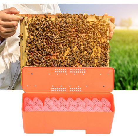Cage de Transport pour Abeille Reine avec 20 Cage Transparentes - Boîte de Transport pour Élevage Abeille Reine, Cage Abeille Reine, Box d'Expédition Abeille Reine, Cage Abeille Reine en Plastique (1/5)