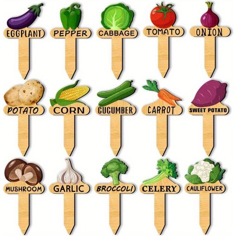 Étiquettes pour semis - Étiquettes de jardin esthétiques, lot de 15 - Étiquettes de marquage résistantes aux intempéries - Idéales pour les légumes (1/5)