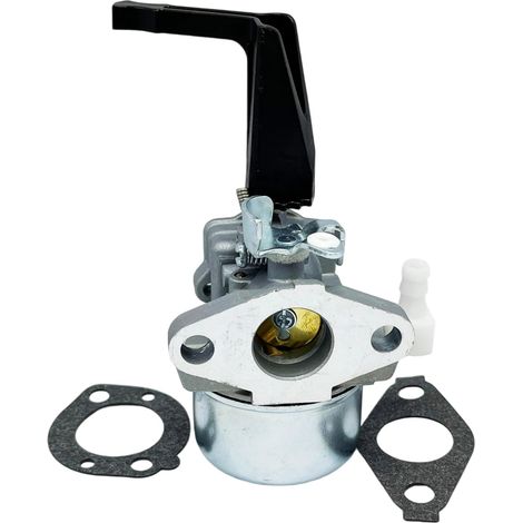 Carburateur pour Briggs & Stratton 696065 697422 Briggs 5HP 5.5HP 6HP Moteurs Craftsman Bolens Coleman Husqvarna Troy Bilt & Yard Machine de nombreux modèles (1/5)