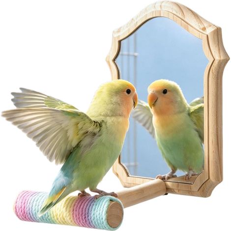 Percha para loros  Espejo de madera interactivo antideslizante (1/5)