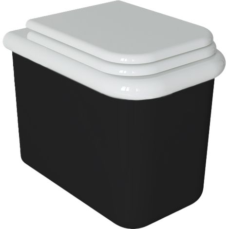 Inodoro de suelo de estilo retro - True Colors Lite - Negro mate (1/5)