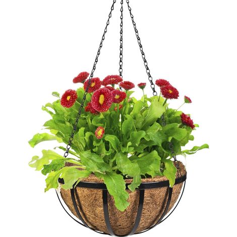 Panier suspendu décoratif rond avec doublure en noix de coco et chaînette pour plantes d\'extérieur, 35 cm (1/5)