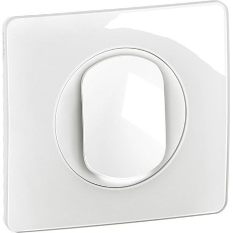 Interrupteur lumineux Céliane 10AX complet Blanc (CG1001) (1/2)